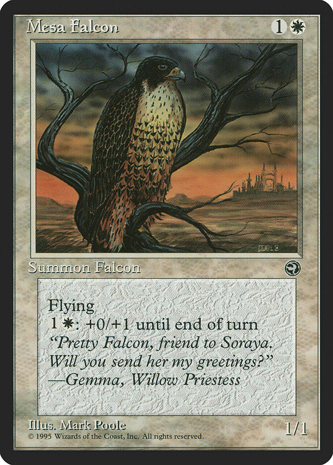 Mesa Falcon (10b) - Homelands (HML)