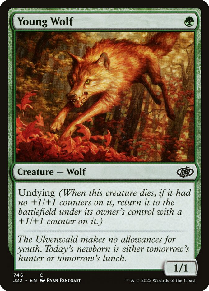 Young Wolf (746) - Jumpstart 2022 (J22)