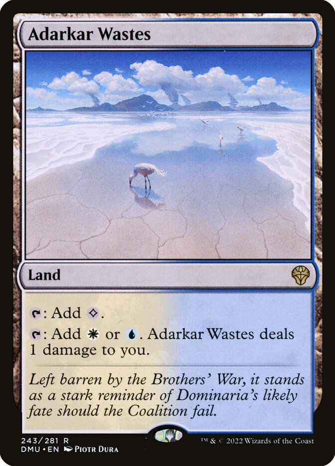 Adarkar Wastes (243) - Dominaria United (DMU)