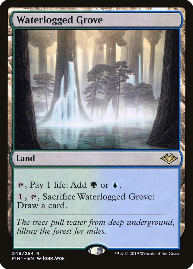 Waterlogged Grove (249) - Modern Horizons (MH1)