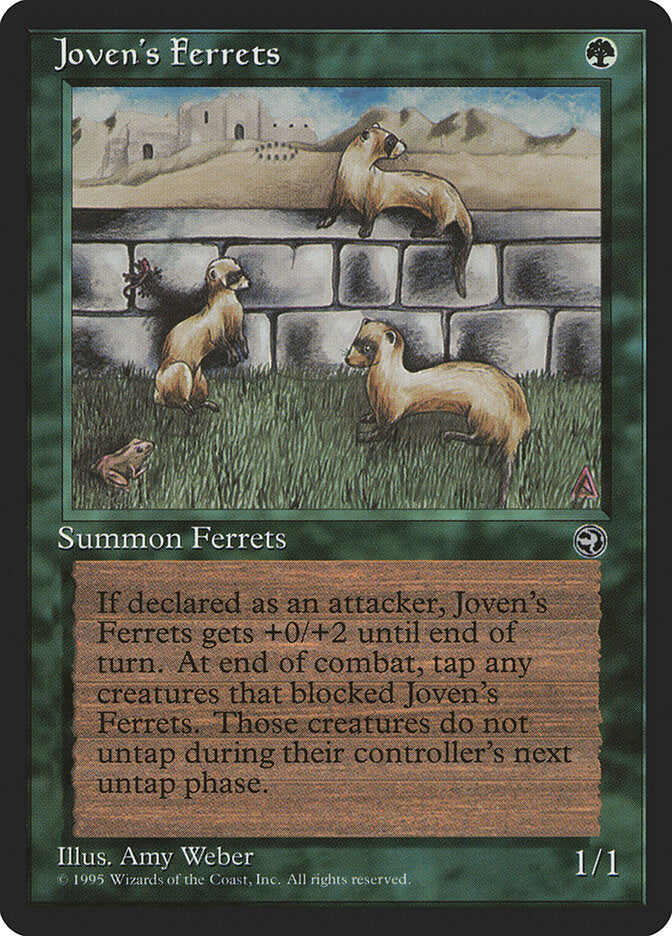 Joven's Ferrets (89) - Homelands (HML)
