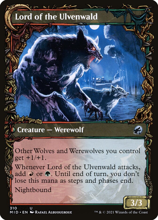 Kessig Naturalist // Lord of the Ulvenwald (310) - Innistrad: Midnight Hunt (MID)