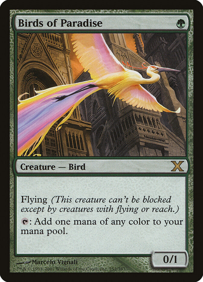 Birds of Paradise (252) - Tenth Edition (10E)