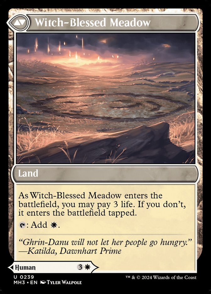 Witch Enchanter // Witch-Blessed Meadow (239) - Modern Horizons 3 (MH3)