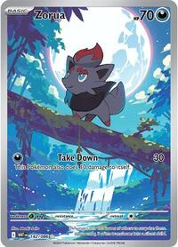 Zorua (142) - SV: White Flare (WHT)