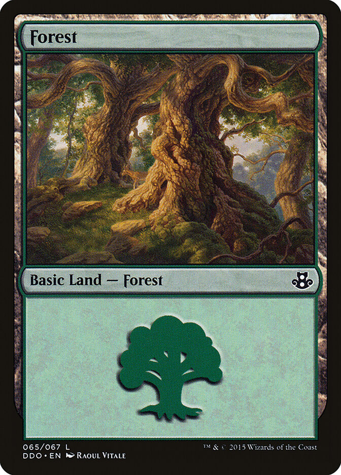 Forest (65) - Duel Decks: Elspeth vs. Kiora (DDO)