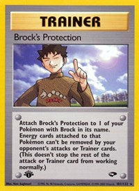 Brocks Protection (101) - Gym Challenge (G2)