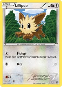 Lillipup (80) - Black and White (BLW)