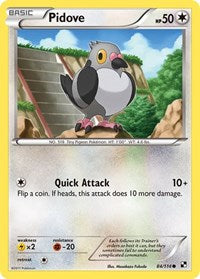 Pidove (84) - Black and White (BLW)