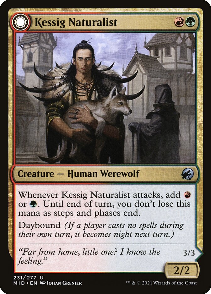 Kessig Naturalist // Lord of the Ulvenwald (231) - Innistrad: Midnight Hunt (MID)