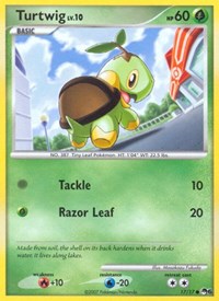 Turtwig (17) - POP Series 6 (POP)