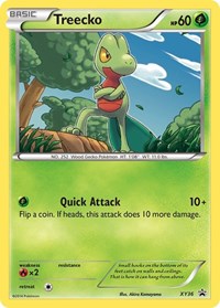 Treecko (XY36) - XY Promos (PR)
