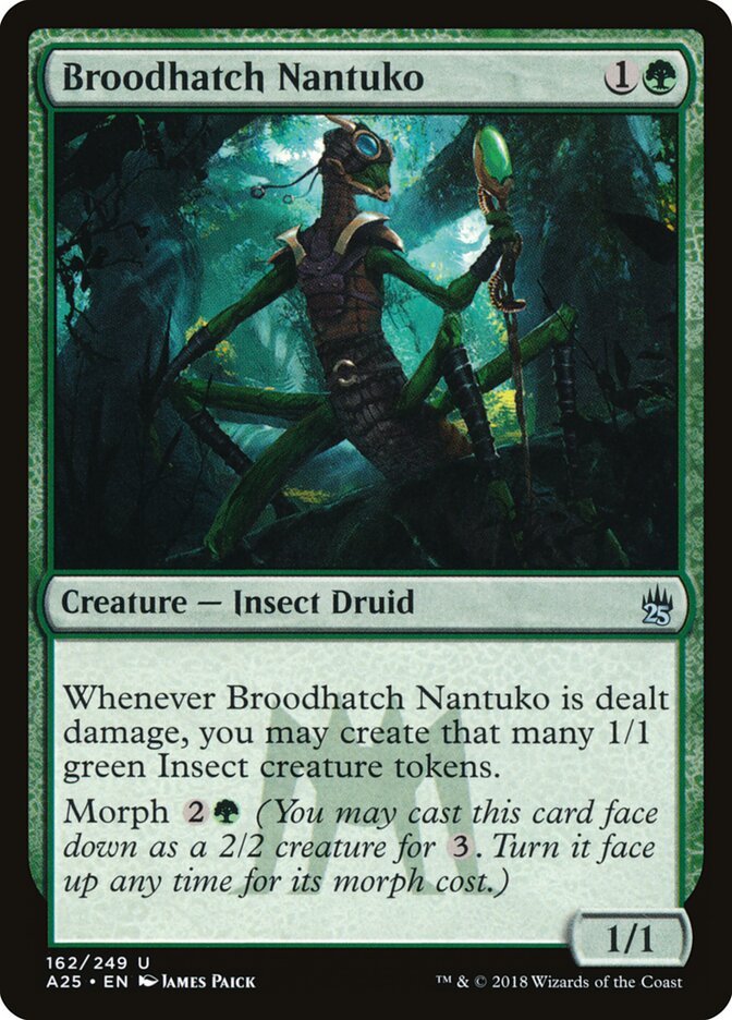 Broodhatch Nantuko (162) - Masters 25 (A25)