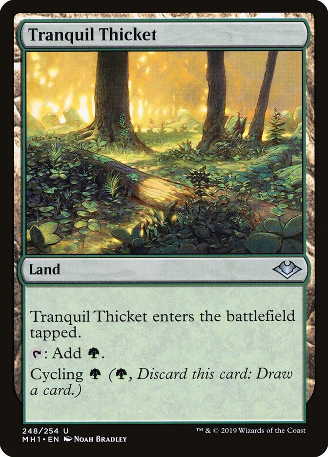 Tranquil Thicket (248) - Modern Horizons (MH1)
