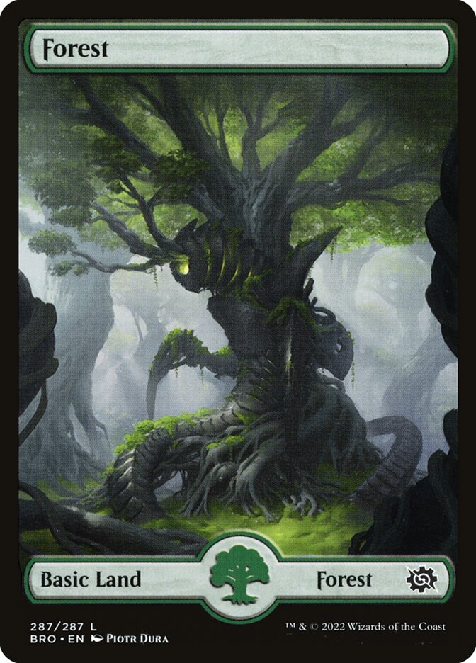 Forest (287) - The Brothers' War (BRO)