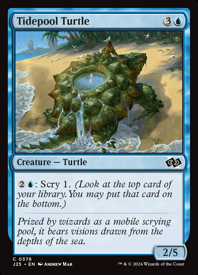 Tidepool Turtle - Foundations Jumpstart (J25)