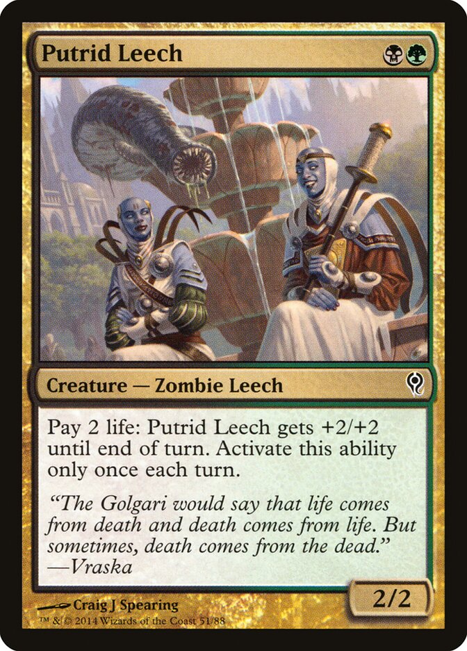 Putrid Leech (51) - Duel Decks: Jace vs. Vraska (DDM)