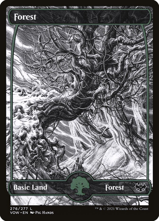 Forest (276) - Innistrad: Crimson Vow (VOW)
