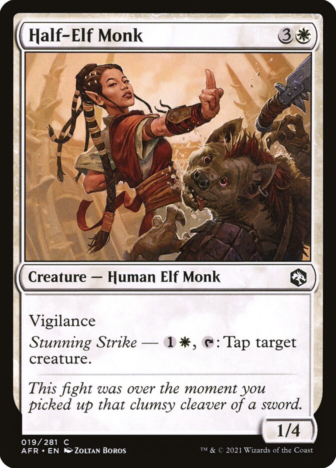 Half-Elf Monk (19) - Adventures in the Forgotten Realms (AFR)