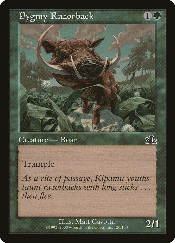 Pygmy Razorback - Prophecy (PCY)