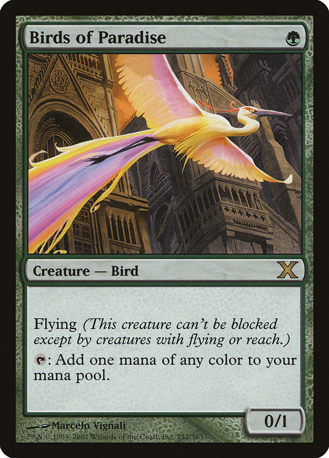Birds of Paradise - Tenth Edition (10th)