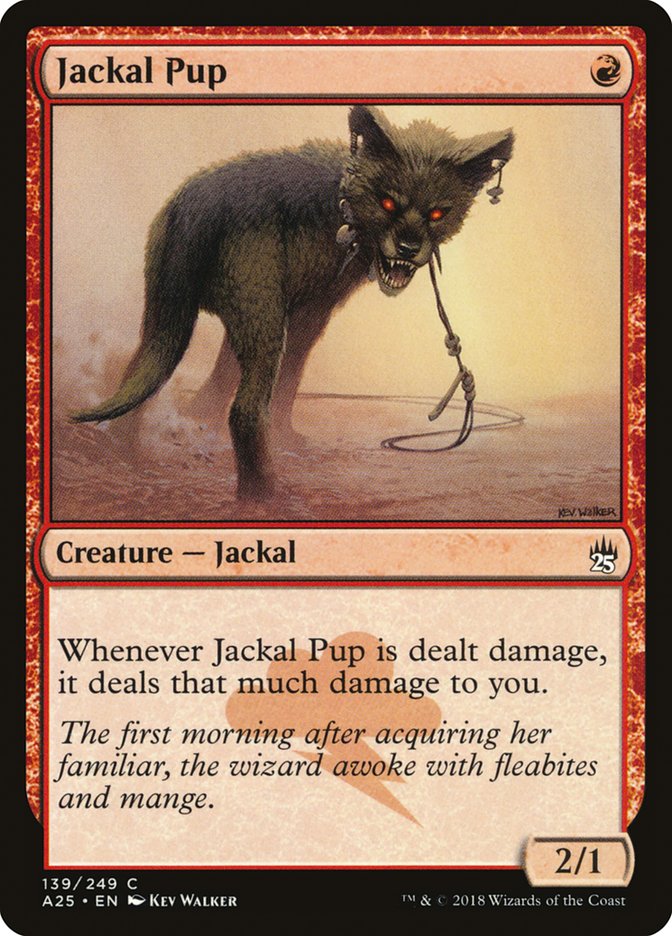 Jackal Pup - Masters 25 (A25)