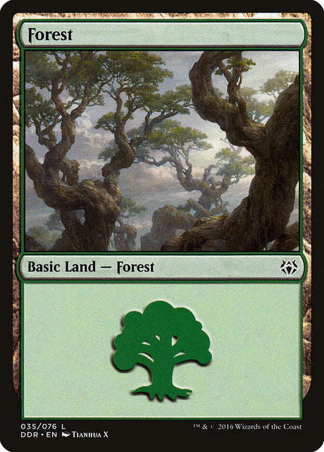 Forest (35) - Duel Decks: Nissa vs. Ob Nixilis (DDR)