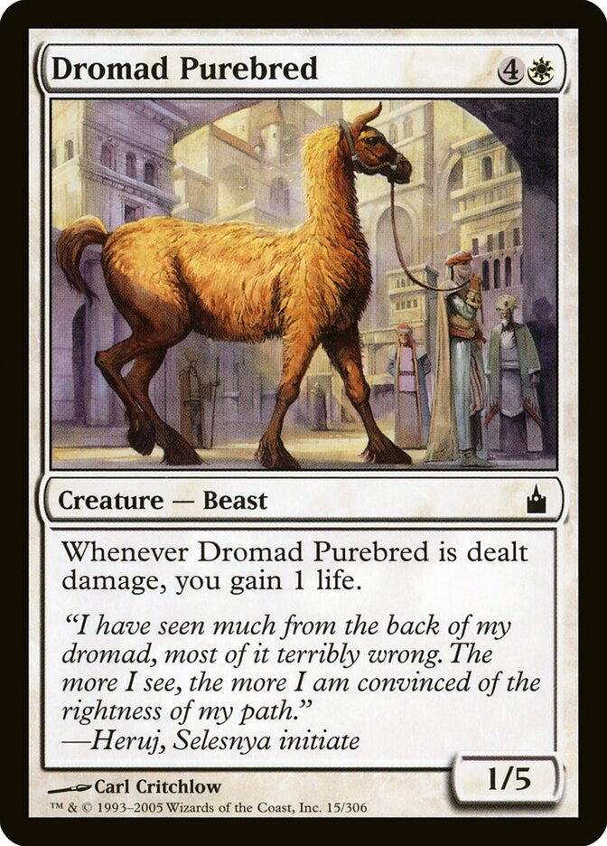 Dromad Purebred (15) - Ravnica: City of Guilds (RAV)