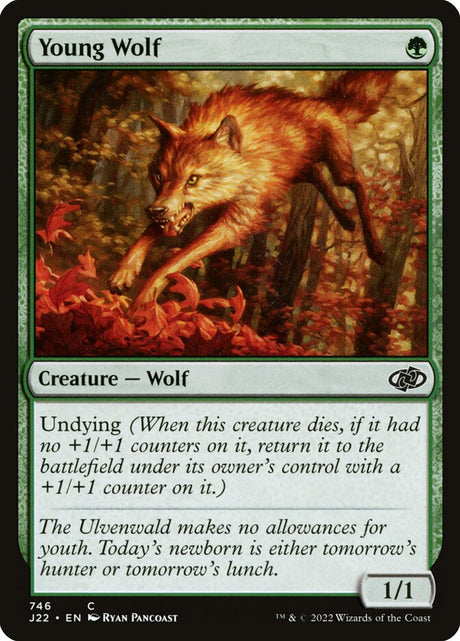 Young Wolf (746) - Jumpstart 2022 (J22)