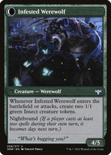 Infestation Expert // Infested Werewolf (206) - Innistrad: Crimson Vow (VOW)