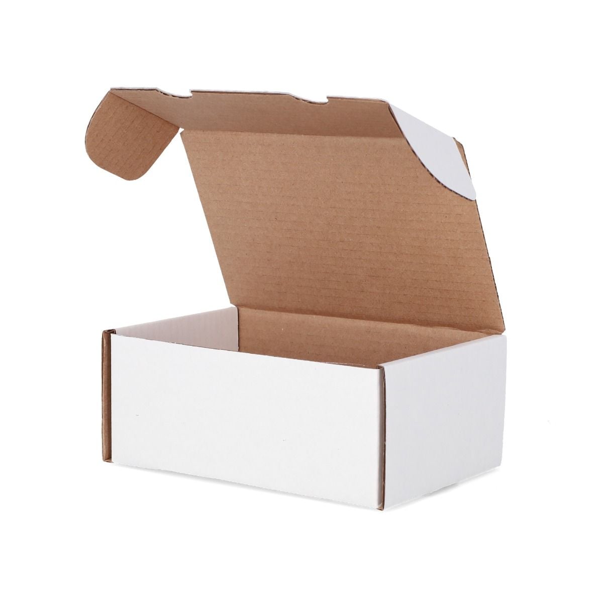 BCW Graded Card Storage Box