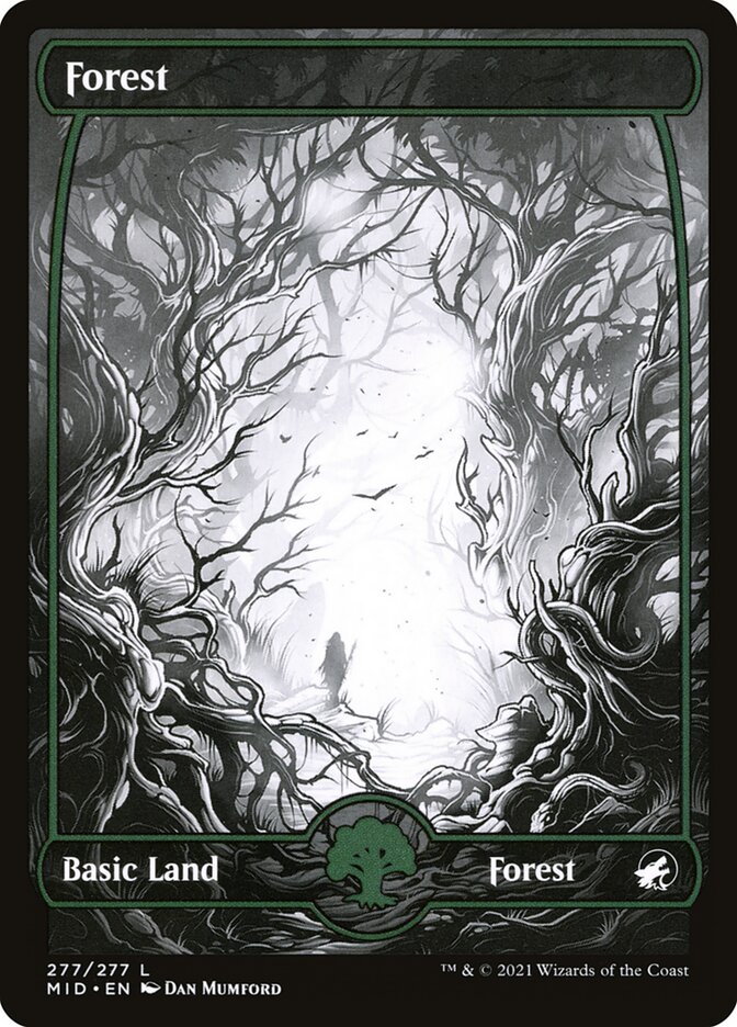 Forest (277) - Innistrad: Midnight Hunt (MID)