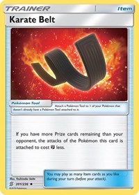 Karate Belt (201) - SM - Unified Minds (SM11)