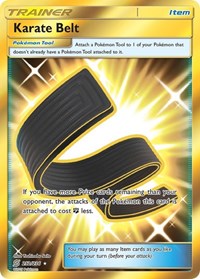 Karate Belt (Secret) (252) - SM - Unified Minds (SM11)