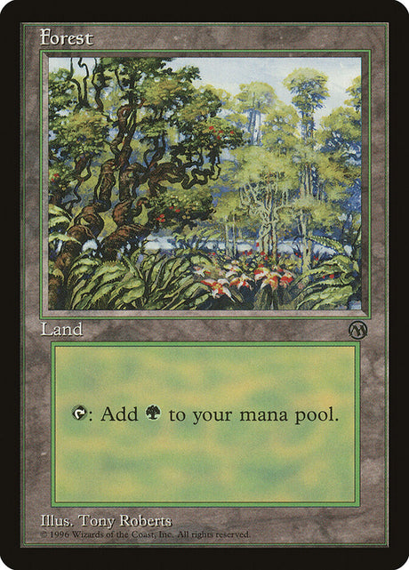 Forest (5) - Arena League 1996 (PARL)