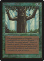 Ironroot Treefolk (204) - Limited Edition Beta (LEB)