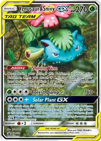 Venusaur and Snivy GX (SM229) - SM Promos (SMP)