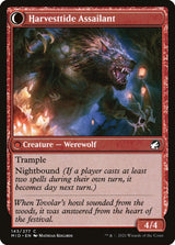 Harvesttide Infiltrator // Harvesttide Assailant (143) - Innistrad: Midnight Hunt (MID)