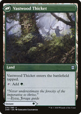 Vastwood Fortification // Vastwood Thicket (216) - Zendikar Rising (ZNR)