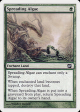 Spreading Algae (281) - Eighth Edition (8ED)