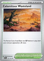 Calamitous Wasteland (175) - SV02: Paldea Evolved (PAL)