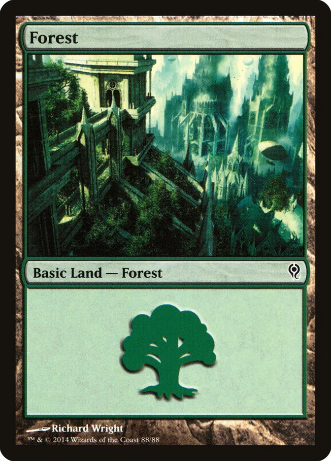 Forest (88) - Duel Decks: Jace vs. Vraska (DDM)