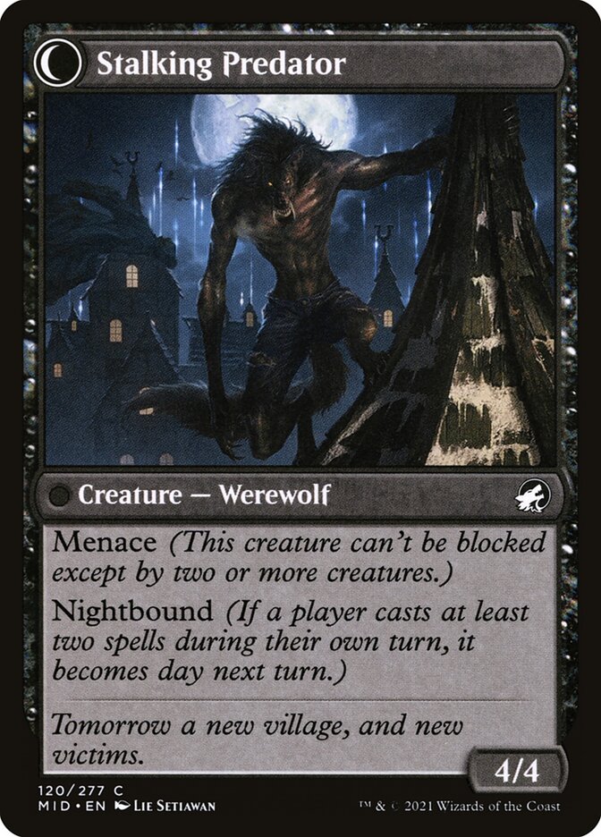 Shady Traveler // Stalking Predator (120) - Innistrad: Midnight Hunt (MID)