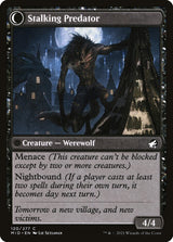 Shady Traveler // Stalking Predator (120) - Innistrad: Midnight Hunt (MID)
