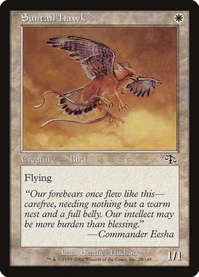Suntail Hawk (28) - Judgment (JUD)