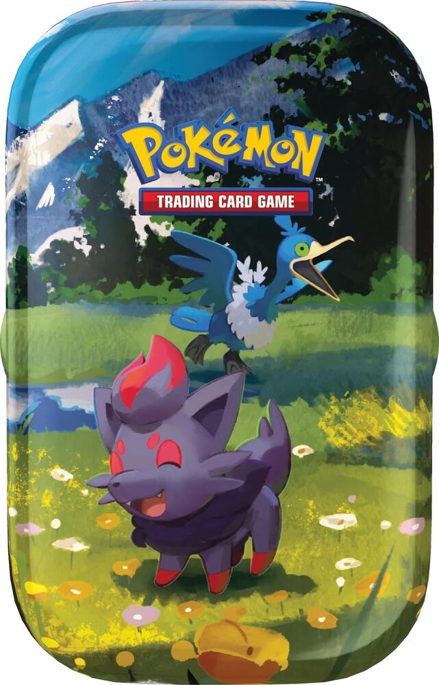 Ascended Heroes Mini Tin [Zorua & Cramorant] - ME: Ascended Heroes (ASC)