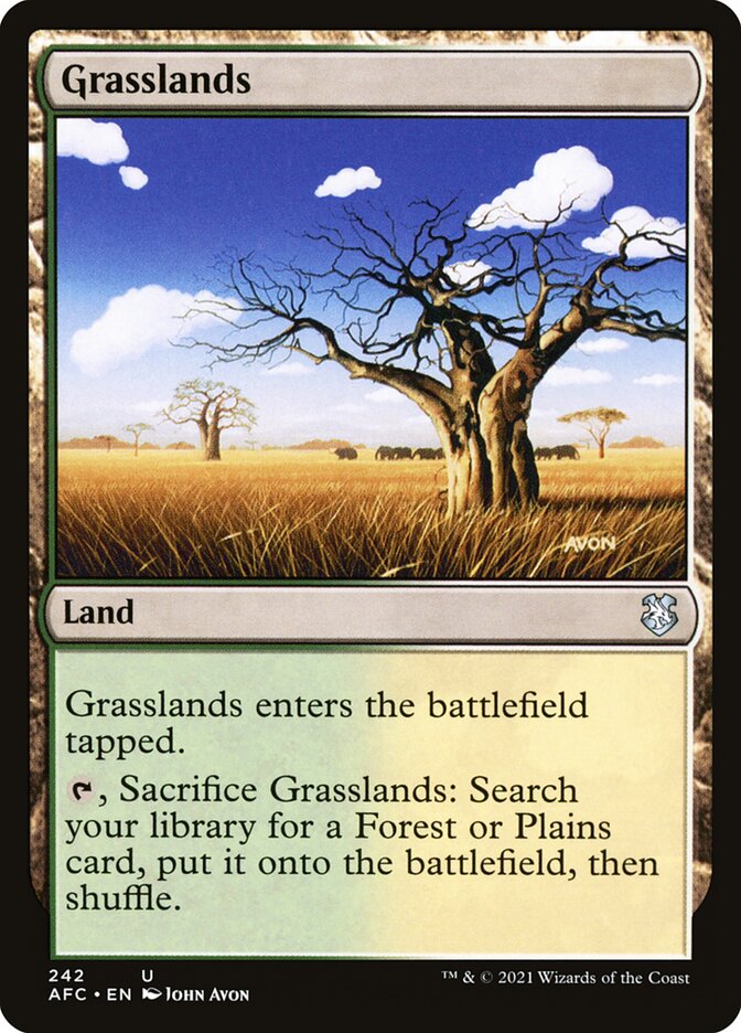 Grasslands (242) - Forgotten Realms Commander (AFC)