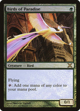 Birds of Paradise (252) - Tenth Edition (10E)