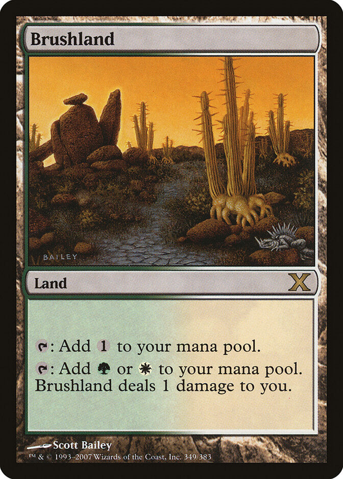 Brushland (349) - Tenth Edition (10E)
