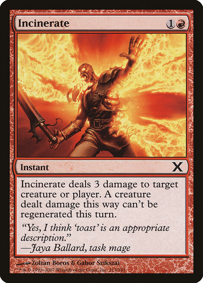 Incinerate (213) - Tenth Edition (10E)